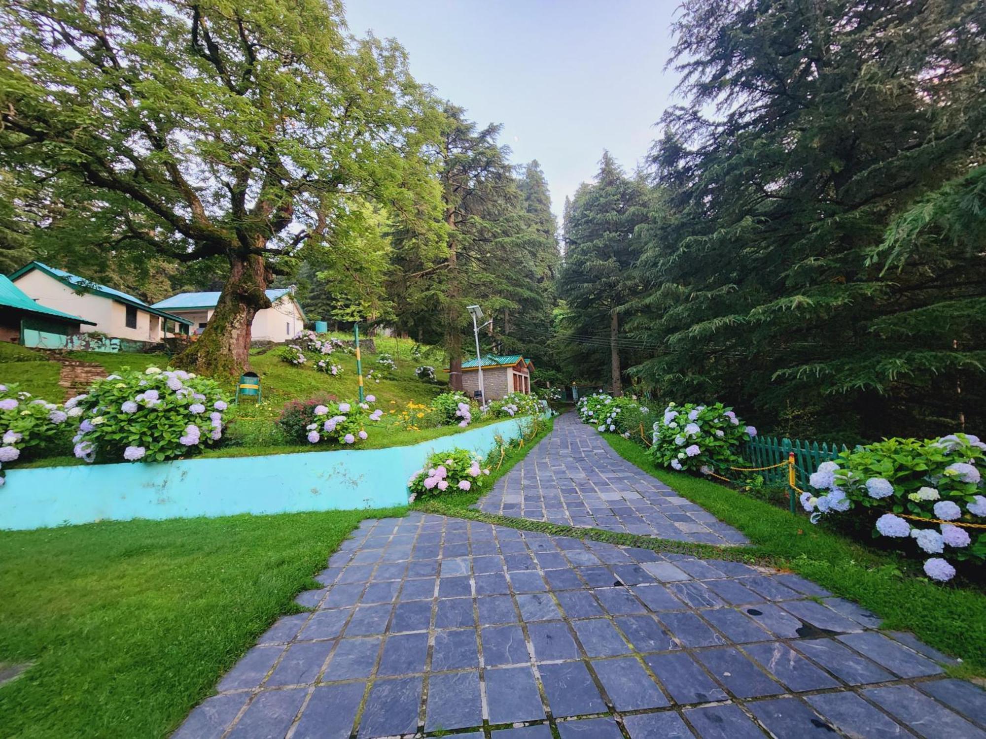 Forest Vibes Kalatop-Rooms And Restaurant Dalhousie Luaran gambar
