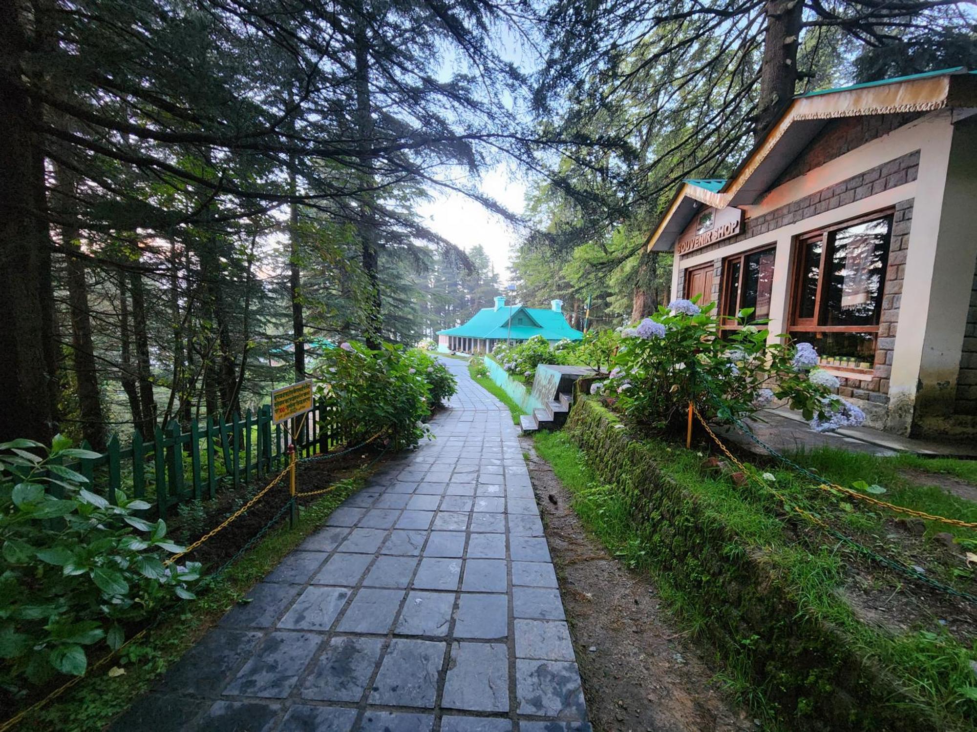 Forest Vibes Kalatop-Rooms And Restaurant Dalhousie Luaran gambar