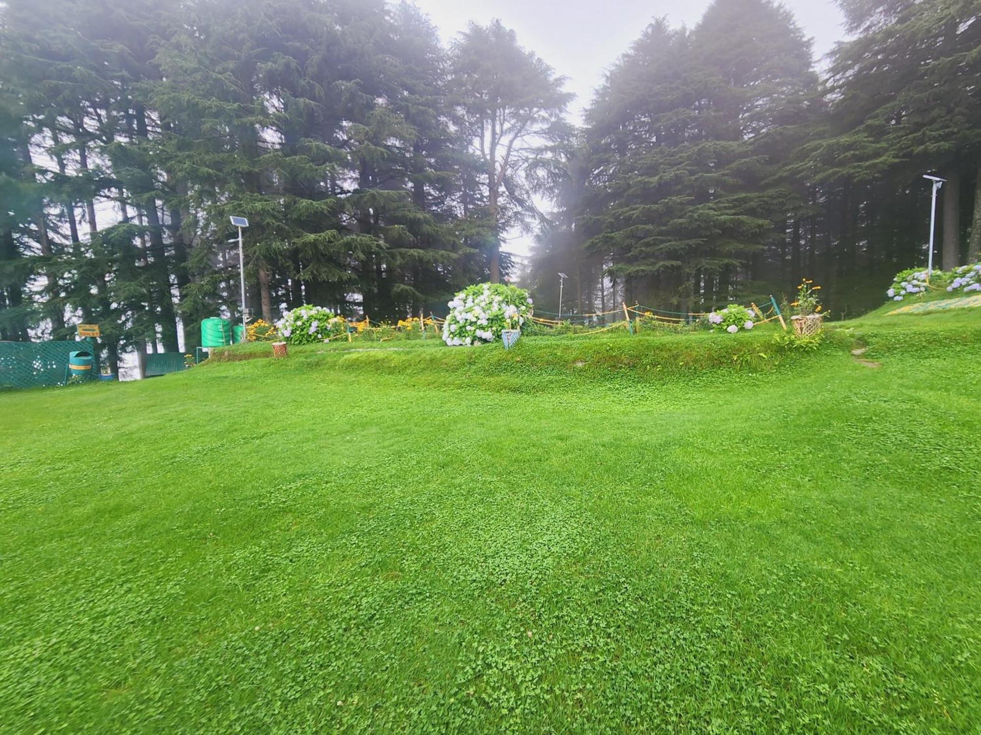 Forest Vibes Kalatop-Rooms And Restaurant Dalhousie Luaran gambar
