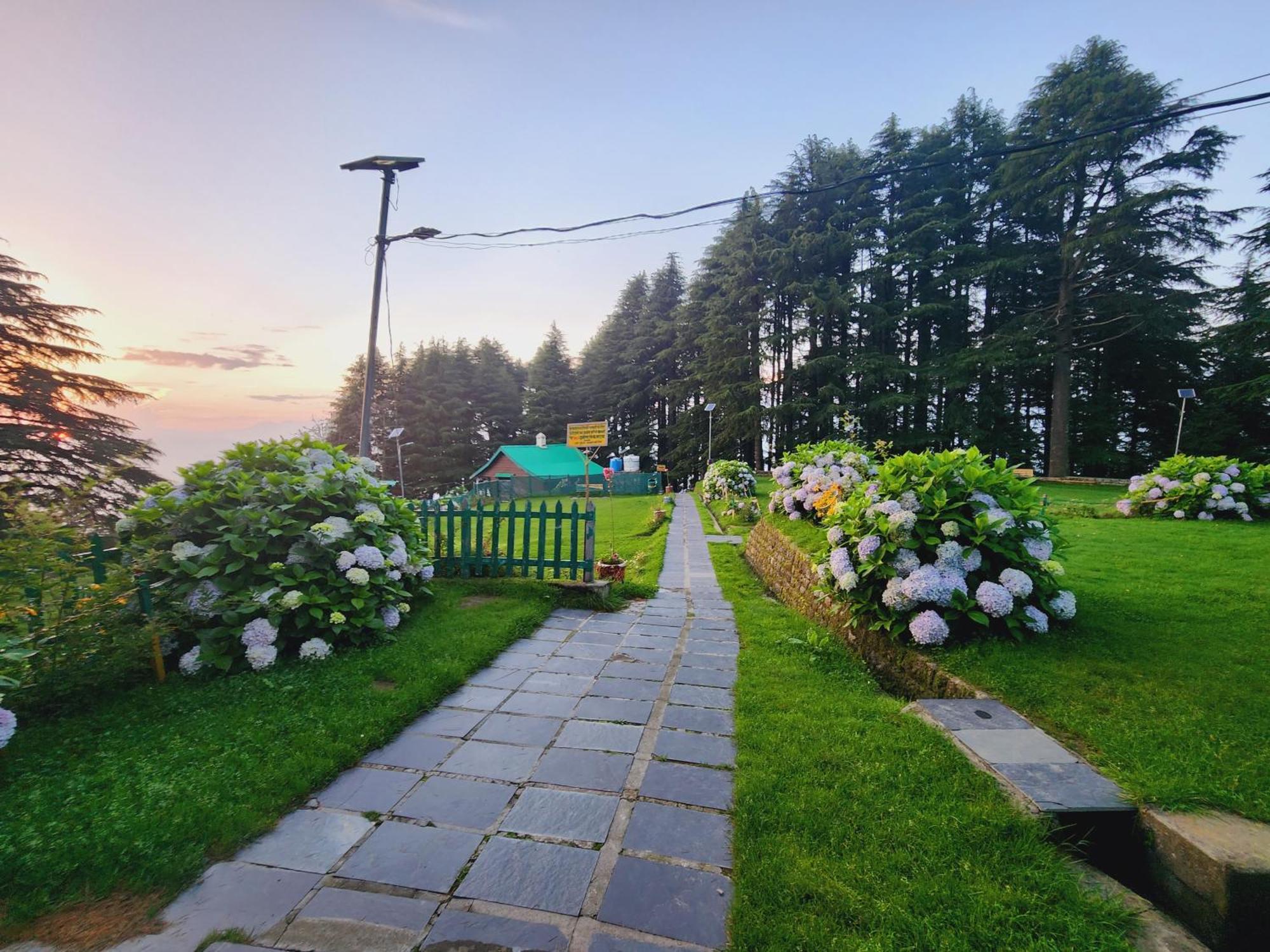 Forest Vibes Kalatop-Rooms And Restaurant Dalhousie Luaran gambar