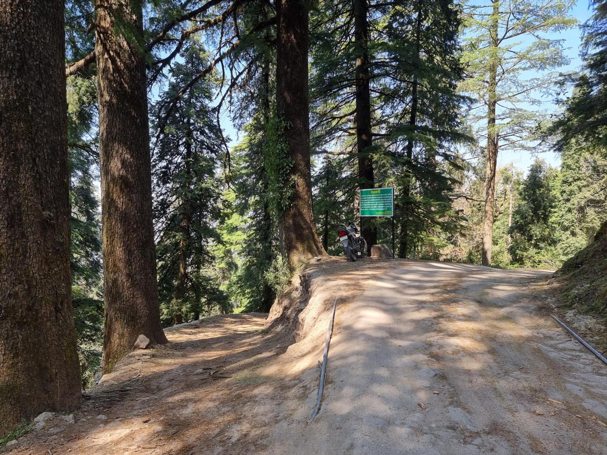 Forest Vibes Kalatop-Rooms And Restaurant Dalhousie Luaran gambar