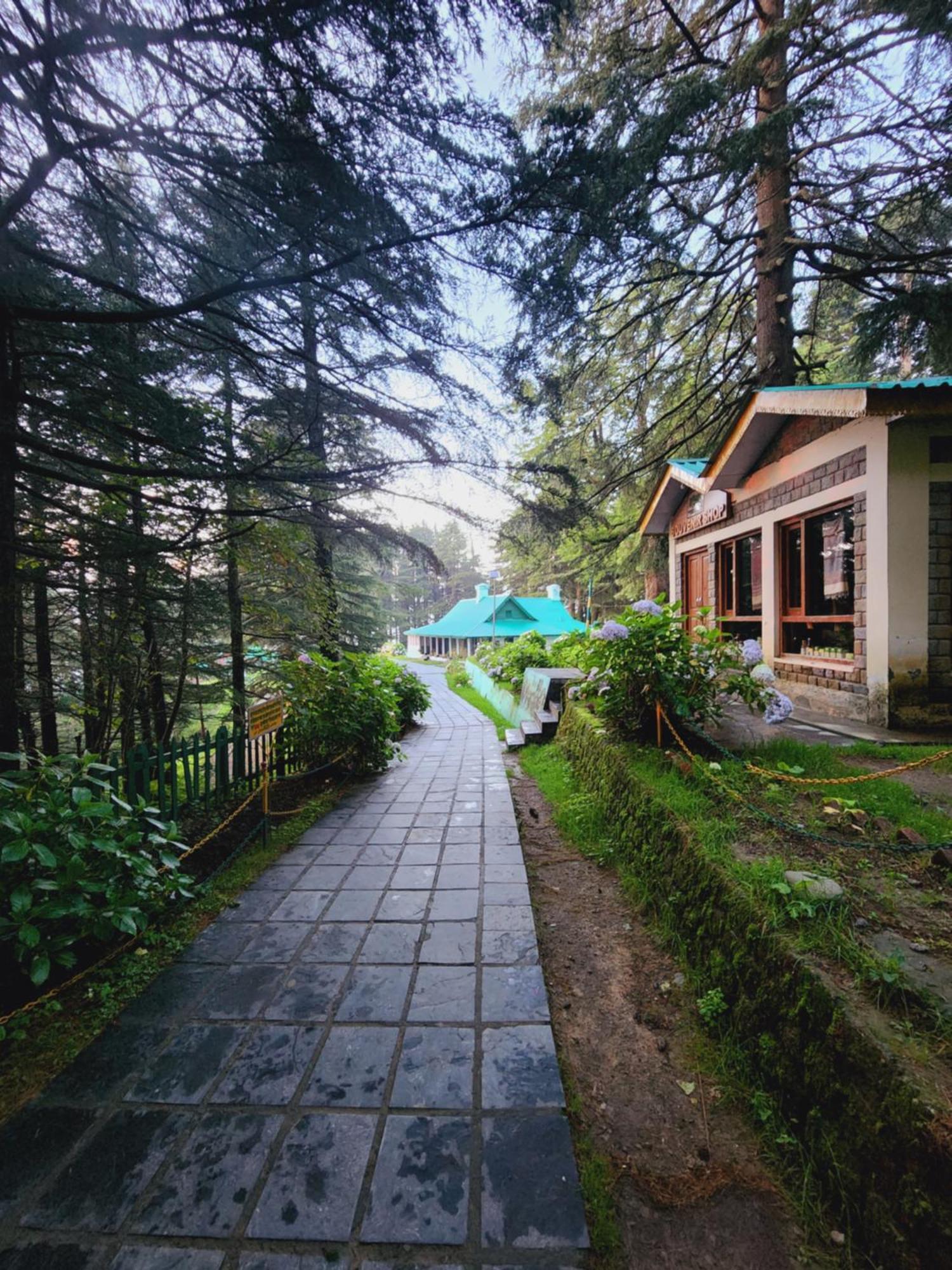 Forest Vibes Kalatop-Rooms And Restaurant Dalhousie Luaran gambar