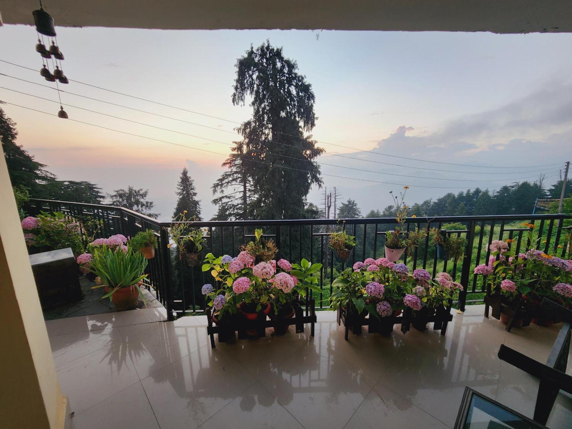 Forest Vibes Kalatop-Rooms And Restaurant Dalhousie Luaran gambar
