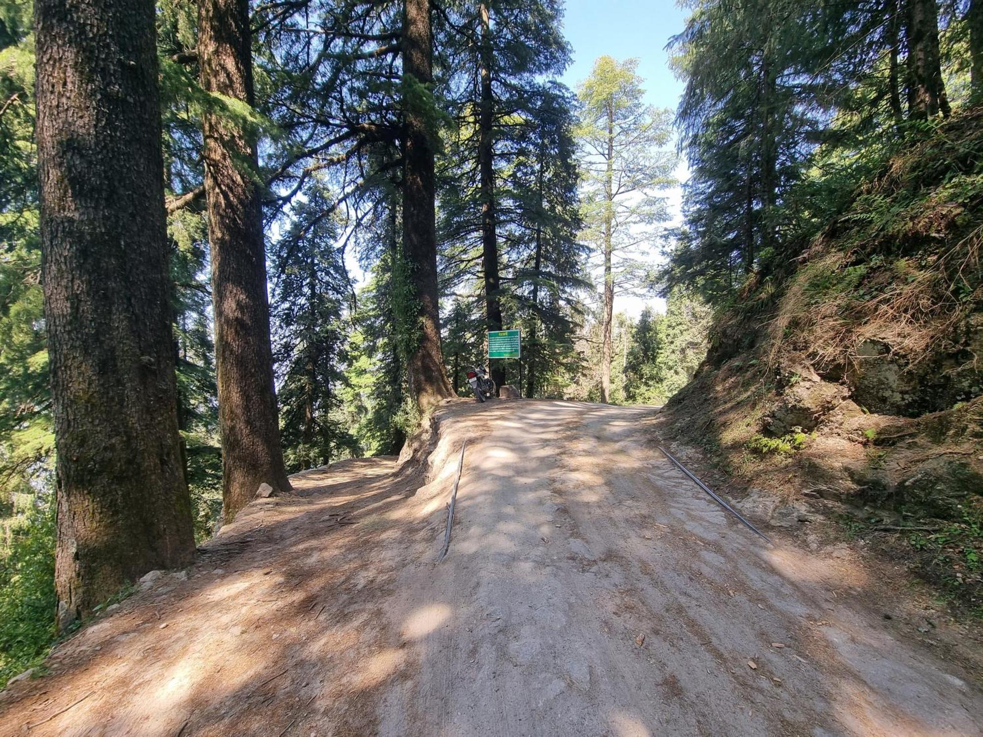 Forest Vibes Kalatop-Rooms And Restaurant Dalhousie Luaran gambar
